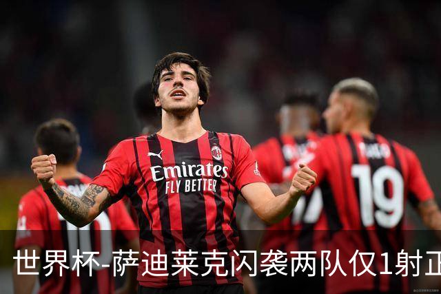 世界杯-萨迪莱克闪袭两队仅1射正 捷克半场暂1-0南非