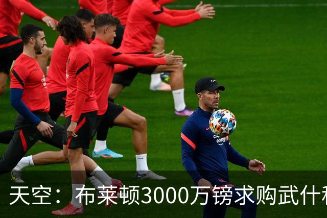 天空：布莱顿3000万镑求购武什科维奇，预计热刺对其估值超6000万