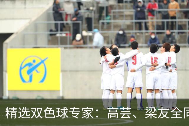 精选双色球专家：高芸、梁友全同中二等279万！