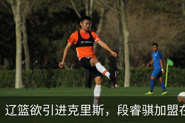 辽篮欲引进克里斯，段睿骐加盟在即！王岚嵚转会山东迎来转机，两大外援登陆以色列折射球队吸引力难题