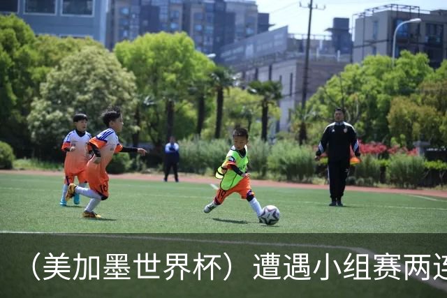 （美加墨世界杯）遭遇小组赛两连败 海地和土耳其提前出局